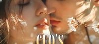 CEO's Sweetheart is a Super Idol